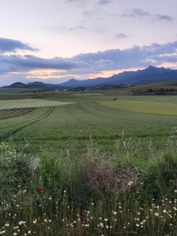 Durmiendo Como Reyes En La Rioja Cihuri Zewnętrze zdjęcie